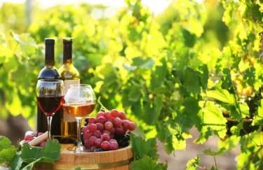 Україна дозволяє імпорт вина та алкоголю з Молдови за ліцензією.