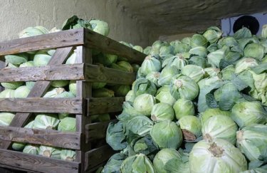 УДАР відкриває фінансування агробізнесу до 150 тис. доларів: що потрібно