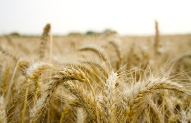 Близькосхідний конфлікт: ризики для 10% агроекспорту України