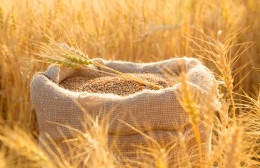 Пшениця: очікуваний врожай в Україні збільшено майже до 1 млн&hellip;