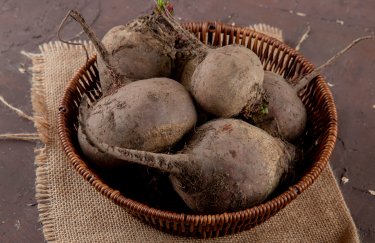 Український ринок: обвал цін на столовий буряк, чинники та перспективи