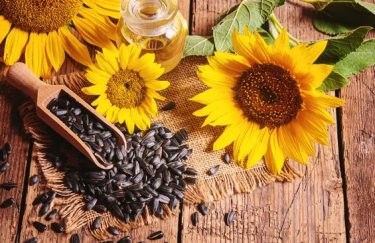 ГОЛОВНА 13 Соняшник в Україні подорожчав на 700 грн: з’ясовуємо фактор впливу