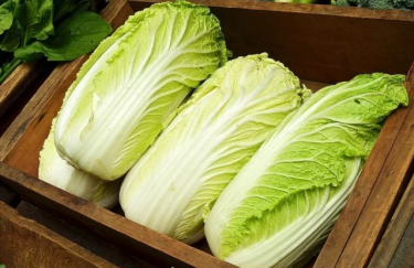 Пекінська капуста: ціни в Україні впали до рівня виробництва. 1
