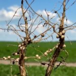 Відправна точка – земля