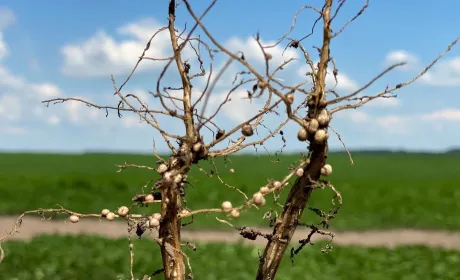 Відправна точка – земля
