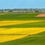 В Україні земельний ринок сягнув позначки в мільйон гектарів, вартість зросла на 96% — Delo.ua