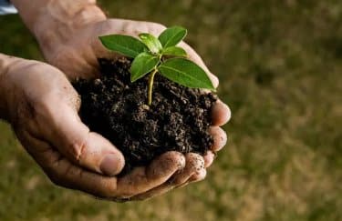 ГОЛОВНА 17 Україні відкрито шлях до всесвітньої мережі генетичного різноманіття рослин…