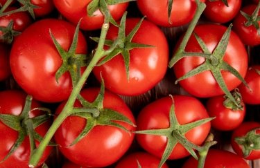 ГОЛОВНА 14 В Україні піднялись ціни на парникові помідори