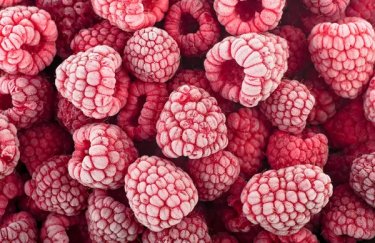 ГОЛОВНА 11 Україна – лідер європейського ринку малини, обігнавши Польщу.