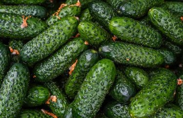 В Україні ростуть ціни на огірки: що по чому