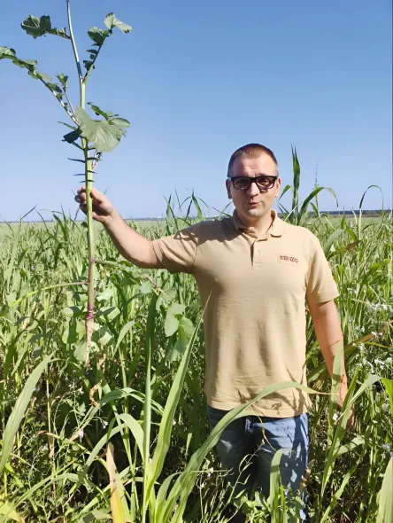 Віктор Філатов: "Природа регулює багато процесів", або Дійсні поради для землі, чергування культур і збору врожаю. 14