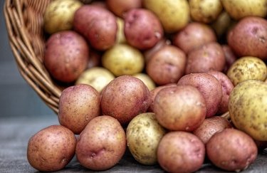 Овочі в Україні подорожчають: прогноз по видах та термінах.