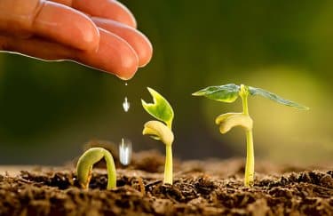 ГОЛОВНА 12 Посівна кампанія під питанням: нестача добрив несе ризик для врожаю