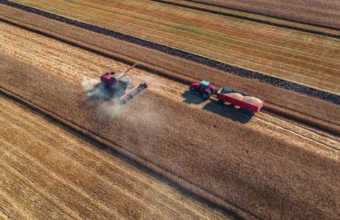 Зимові посіви переважно пережили холоди: звіт про стан посівів.