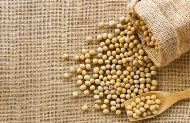 ГОЛОВНА 15 Оцінка перероблювання соєвих бобів в Україні: внутрішній попит зросте на 51 відсоток
