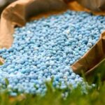 Український ринок добрив: мінливість та залежність зберігаються…