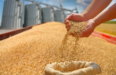 Український експорт ячменю підніметься на чверть у наступному сільськогосподарському році: оцінка експертів