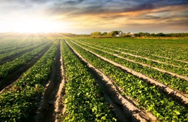 ГОЛОВНА 12 Перепрофілювання землі за 10 днів: оновлені умови для підприємництва