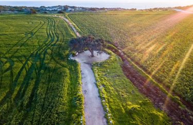 Продажі надр через Prozorro принесли бюджету 7,8 млрд грн — Delo.ua