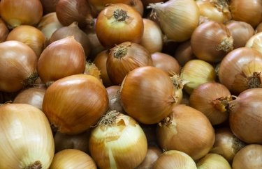 В Україні подешевшала цибуля / Freepik цибуля