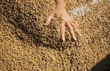 Засуха в Америці та Іран стимулюють ціни на українську пшеницю:…