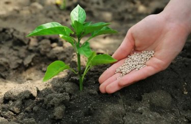 Україна ризикує втратити до $5 млрд експортних надходжень через ціну добрив.