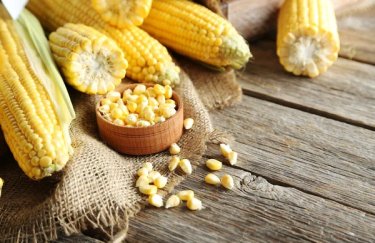 Оцінки вартості кукурудзи: вплив іранського конфлікту на торгівлю