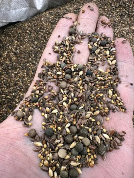 Віктор Філатов: "Природа регулює багато процесів", або Дійсні поради для землі, чергування культур і збору врожаю. 17