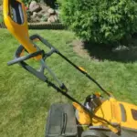 Чому не можна косити траву під корінь: помилка газонокосильника