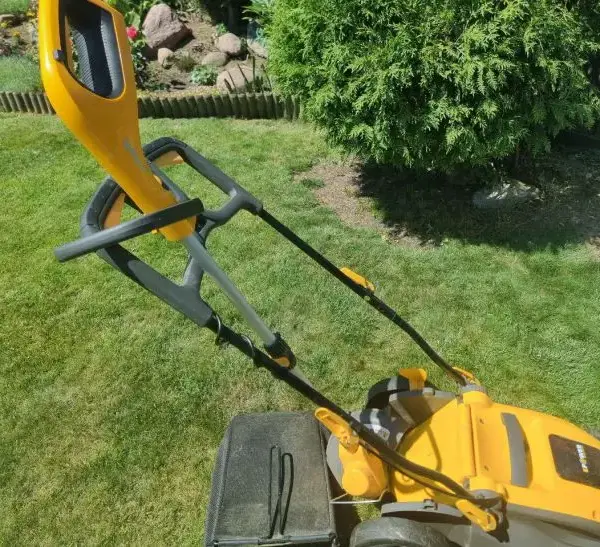 Чому не можна косити траву під корінь: помилка газонокосильника