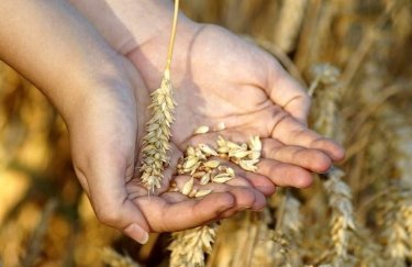 ГОЛОВНА 13 “Олімп” придбає потужності з видобутку піску та цегельні заводи