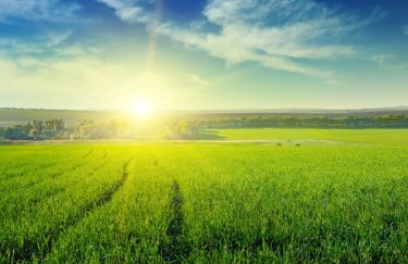 ГОЛОВНА 16 Найкоштовніші землі України: вартість по областях