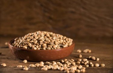 Оновлені правила експорту сої та ріпаку: зміни від Мінекономіки