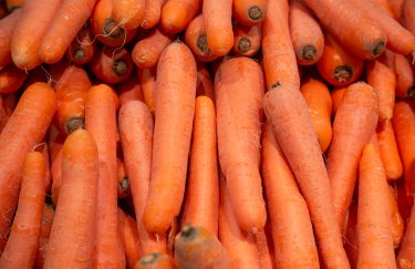 ГОЛОВНА 13 В Україні зростають ціни на моркву: обсяги овочів у сховищах зменшуються.