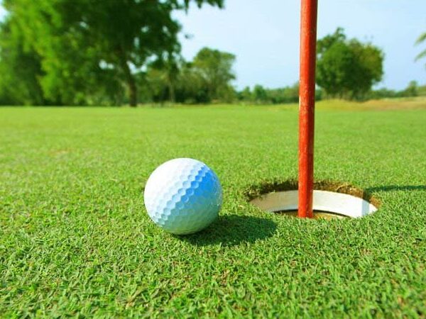 Як не помилитися при виборі спортивного насіння для газону: повний&hellip;