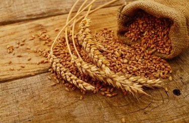 Зерновий бум на горизонті: свіжий прогноз експертів