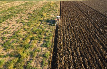 Україна здатна учетверо збільшити експорт агропродукції: озвучено потрібні вкладення.