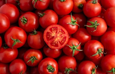 ГОЛОВНА 26 Ціни на томати зростають: імпорт та попит штовхають вартість вгору.