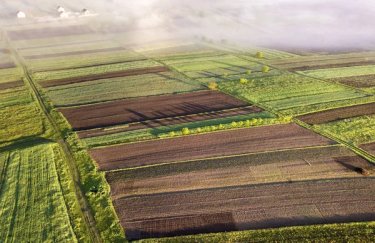 ГОЛОВНА 14 Державні сільгосп землі в оренді 2026: підсумки торгів і ціна