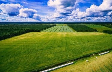 Земельна оцінка в Україні переглядається: наслідки для агробізнесу.