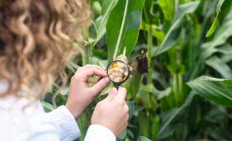 Кадрове питання: перспективи праці в агросекторі України