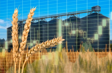 Десятка лідерів з торгівлі зерном в Україні: значні обсяги, однак шість компаній зазнали втрат.