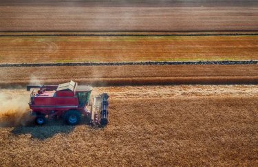 Збирання врожаю 2026: Регіони-лідери України з посіву зерна