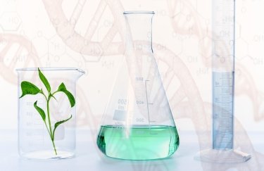 ГОЛОВНА 11 Усунення неясностей щодо ГМО: нові правила для аграріїв з осені