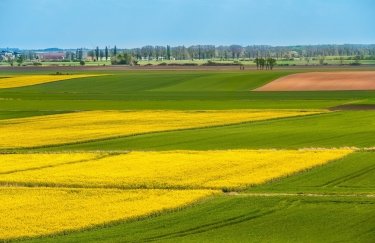 Зміни в оцінюванні земель: ВАP оприлюднила важливі подробиці для фермерів