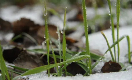 Богдан Вокальчук: “Біопрепарати – це запорука стійкості, коли погодні умови та навантаження вже не&hellip;