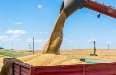 ГОЛОВНА 12 Скільки коштує перевезти збіжжя вантажівками: тарифи на транспортування з різних областей