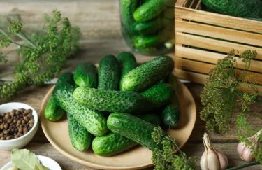 Падіння цін на парникові огірки в Україні набирає обертів: що спричинило здешевлення