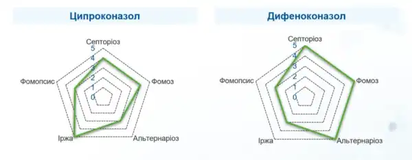 Новий фунгіцид класу триазолів від Сайпрес™ для обробки соняшникових та цукрових буряків 16