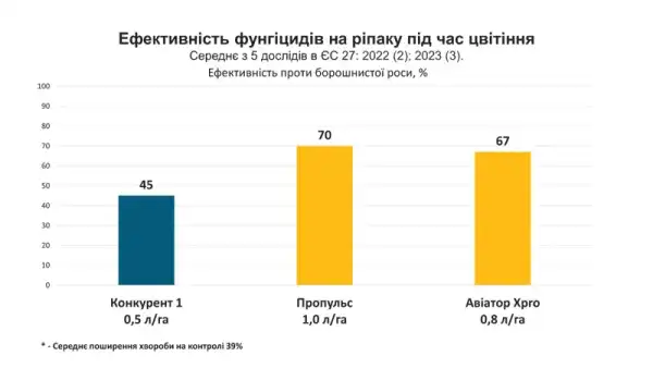 Ярий ріпак: основні моменти 8